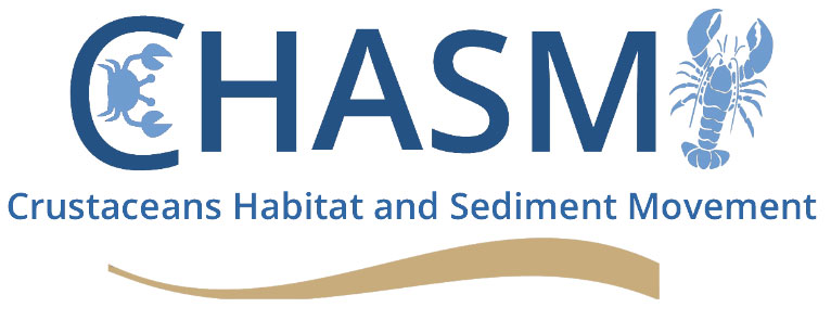 CHASM Project Networking Event, June 2022